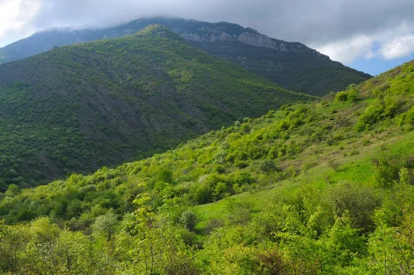 Floresta cumes de montanha, série de paisagens, Crimeia, Ucrânia . — Fotografia de Stock