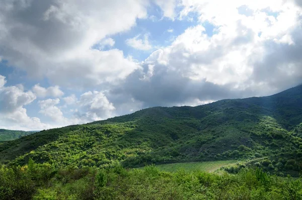 Chaînes de montagnes couvertes de forêts et de buissons — Photo