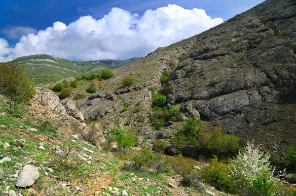 Горные хребты, покрытые лесом и кустарниками — стоковое фото