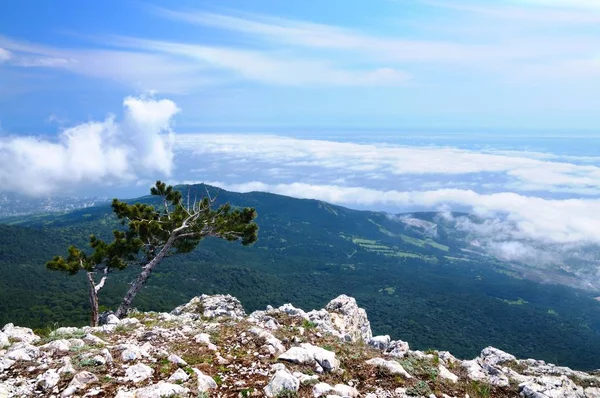Foto desde la cima de la montaña, hermoso horizonte —  Fotos de Stock