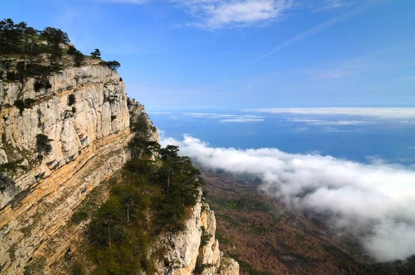 Το δέντρο φυτρώνει στην κορυφή του βραχώδους βουνού — Φωτογραφία Αρχείου