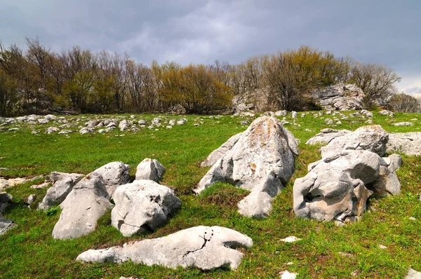 Meadow with green grass strewn stones and boulders — Stock Photo, Image