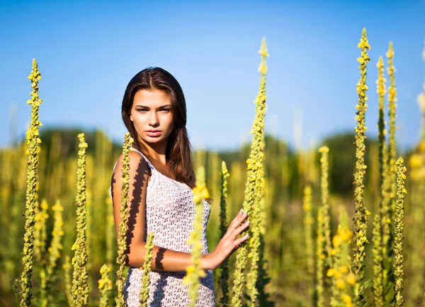 Jong sexy brunette vrouw in wit jurk staande en genieten van zonneschijn in hoog gras op zomerdag — Stockfoto