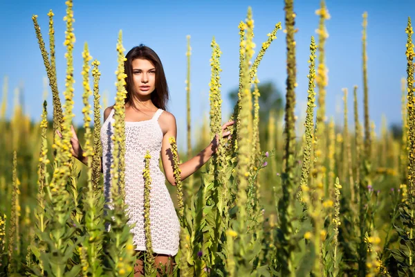 Beyaz elbiseli, genç, seksi esmer kadın yaz günü çimlerin üzerinde gün ışığının tadını çıkarıyor. — Stok fotoğraf