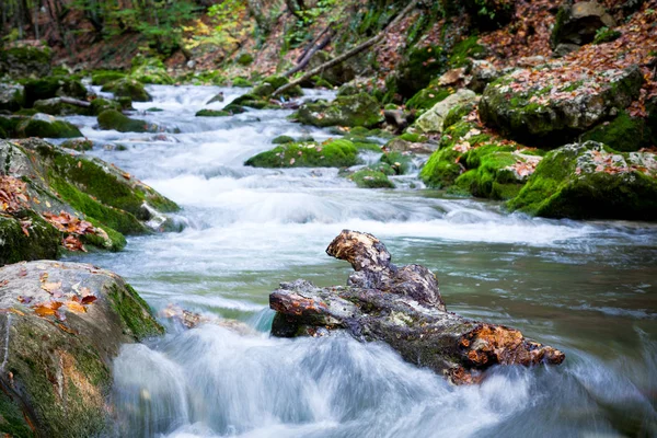 Corriente de río frío de montaña que baja rodeado de hierba verde y rocas en la orilla —  Fotos de Stock