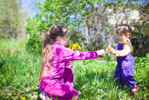 Дівчина сидить на траві і дарує квіти кульбаби маленькому хлопчикові — стокове фото