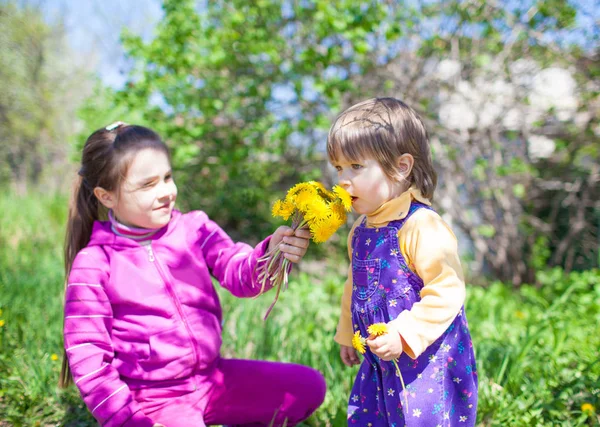 Meisje zitten op gras en geven aan paardenbloem ruiken bloemen naar kleine jongen — Stockfoto