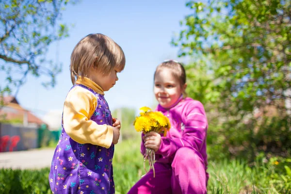 Mädchen sitzt auf Gras und schenkt Löwenzahnblumen an kleinen Jungen — Stockfoto