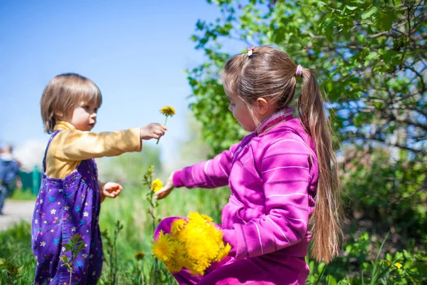 Дівчина сидить на траві і дарує квітучу жовту кульбабу маленькому хлопчикові — стокове фото