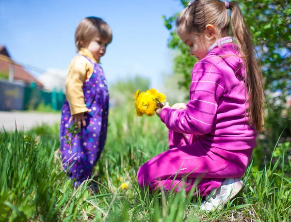 Chica sentada en la hierba y dando flores de diente de león a un niño pequeño —  Fotos de Stock