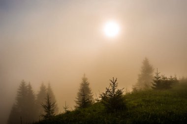 Güzel büyüleyici manzara.