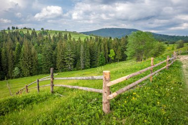 Büyüleyici güzel yaz manzarası