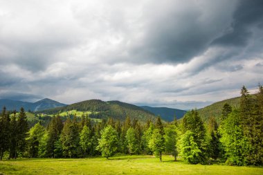 Büyüleyici güzel yaz manzarası