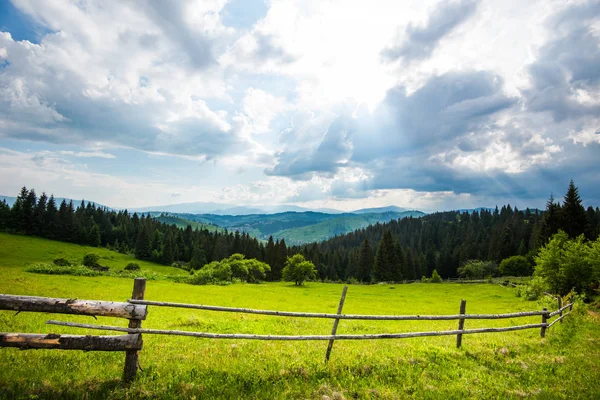 Yeşil çayırların güzel manzarası