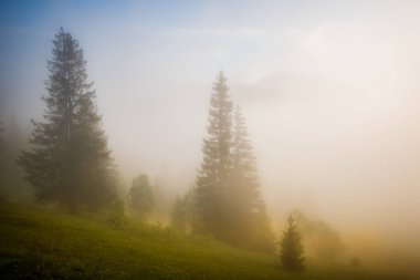 Güzel büyüleyici manzara.