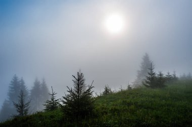 Güzel büyüleyici manzara.