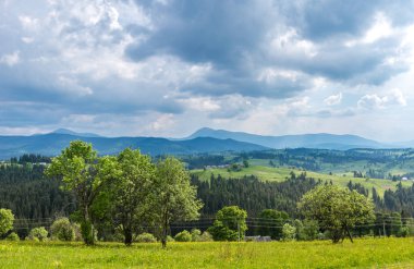 Büyüleyici güzel yaz manzarası