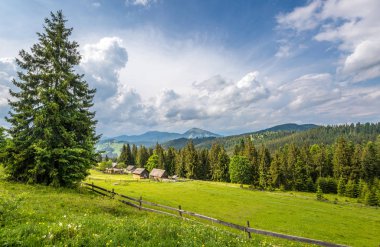 Büyüleyici güzel yaz manzarası