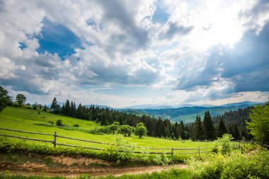 Yeşil çayırların güzel manzarası