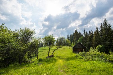 Büyüleyici güzel yaz manzarası