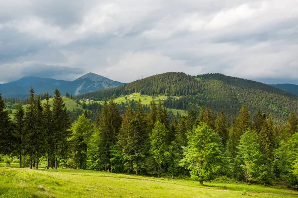 Bruja hermoso paisaje de verano — Foto de Stock