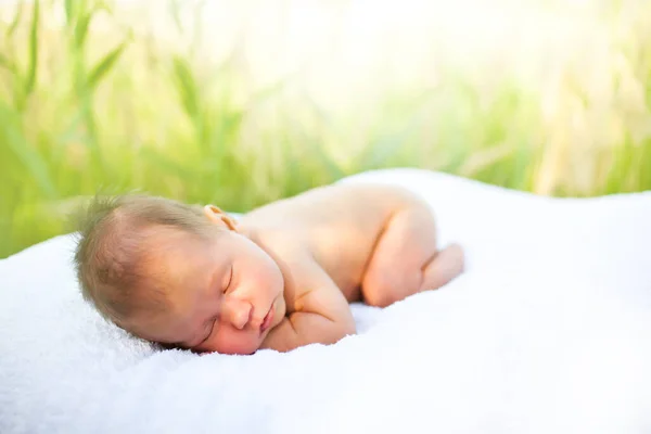 Child sleeping in wooden basket in grass — Stock Photo, Image