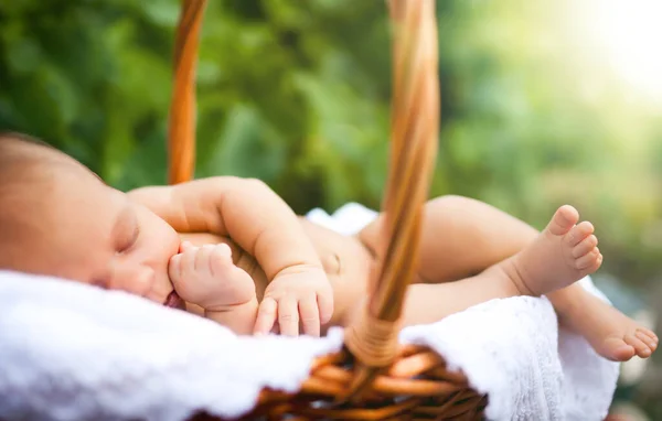 Bébé dormant paisiblement dans un panier en bois — Photo