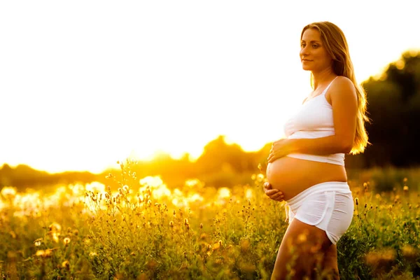 Беременная женщина на поле во время заката — стоковое фото