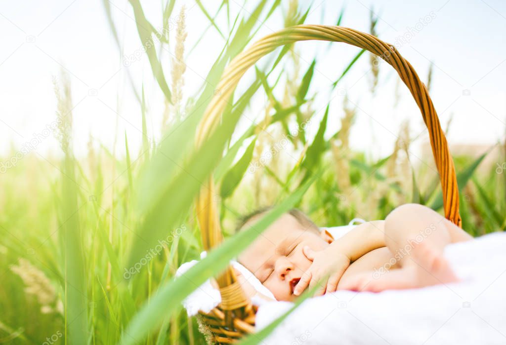 Child sleeping in wooden basket in grass