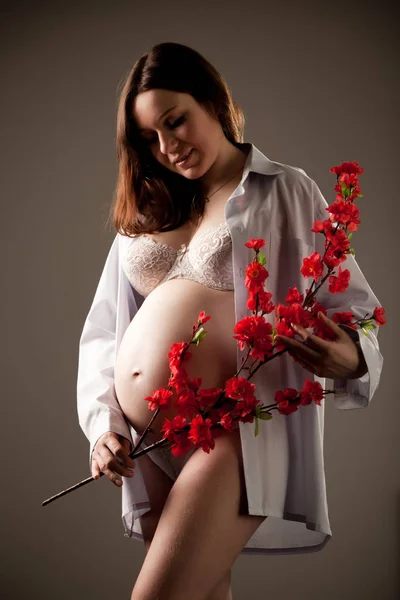 Wanita hamil memegang cabang dengan bunga merah — Stok Foto