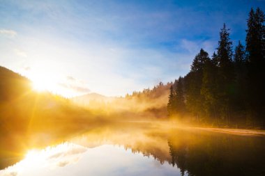 Dağ ormanlarının arasında küçük bir göl
