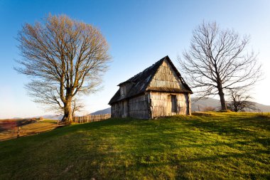 Tepedeki ahşap ahır ve iki ağaç.