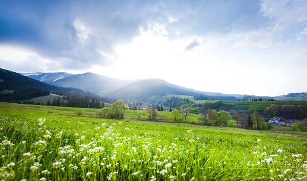 Grüne Wiese mit Scheune, Berge im Hintergrund — Stockfoto