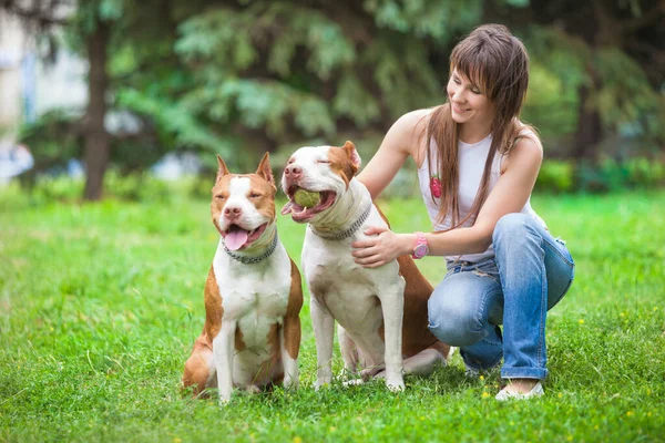 Encantadora dama posando con perros al aire libre . —  Fotos de Stock