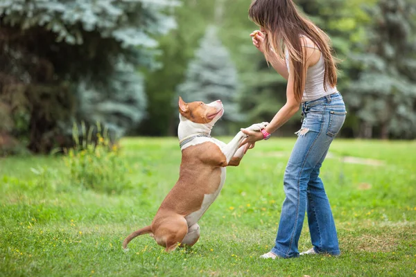 Young lady playing with dog outdoors.