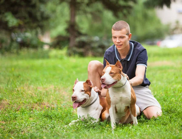 Fröhlicher Mann sitzt mit Hunden im Gras. — Stockfoto