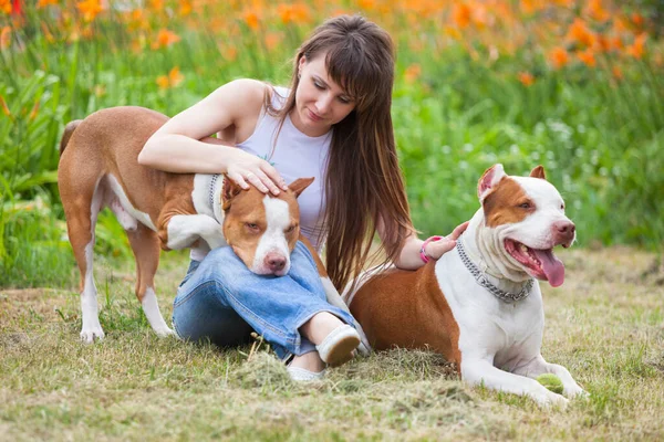 Encantadora dama posando con perros al aire libre . —  Fotos de Stock