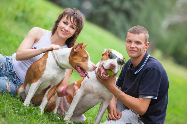Piękna para siedzi na trawie z psami. — Zdjęcie stockowe