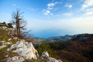 Yeşil çimenli çayır taşları ve kayaları serpiştiriyor.