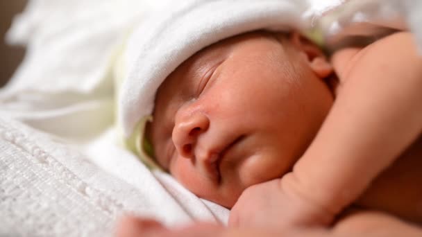 Gros Plan Bébé Nouveau Mignon Faisant Sieste Sur Des Draps — Video