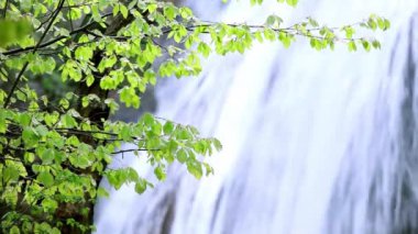 Dağ Şelalesi, kaynak akan su