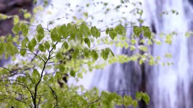 Dağ Şelalesi, kaynak akan su