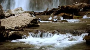 Nehrin akan suları Karpat dağlarında yeşil ormanlarda