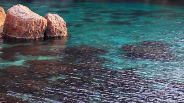 Mare Masso Sulla Riva — Video Stock