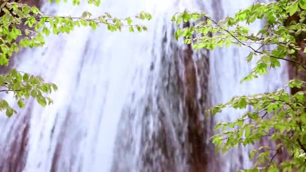 Cascata Montagna Acqua Sorgiva — Video Stock