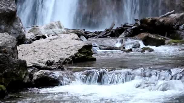 Ρευστά Νερά Του Ποταμού Στο Καταπράσινο Δάσος Στα Καρπάθια Όρη — Αρχείο Βίντεο