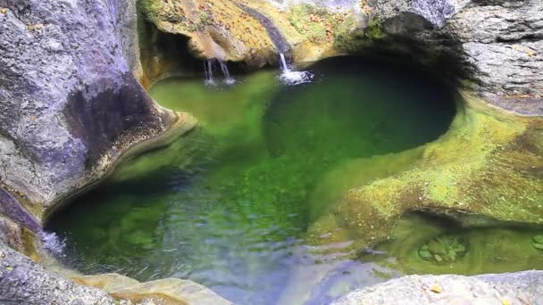 Ένα Ποτάμι Ρέει Πέρα Από Τους Βράχους Αυτό Όμορφο Σκηνικό — Αρχείο Βίντεο