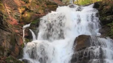 Şelaleli durgun orman manzaraları
