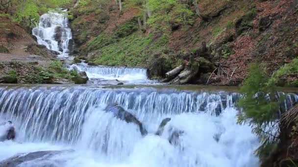 Statische Waldlandschaften Mit Wasserfall — Stockvideo