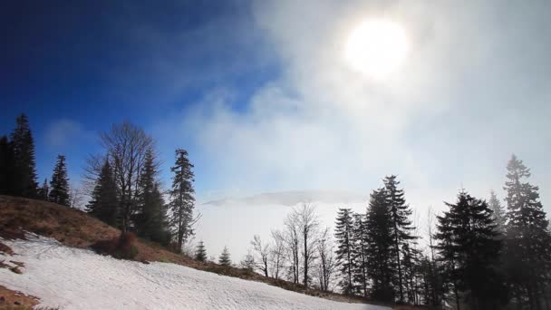 Time Lapse Sinevir Lake Carpatian Mountains — Stock Video